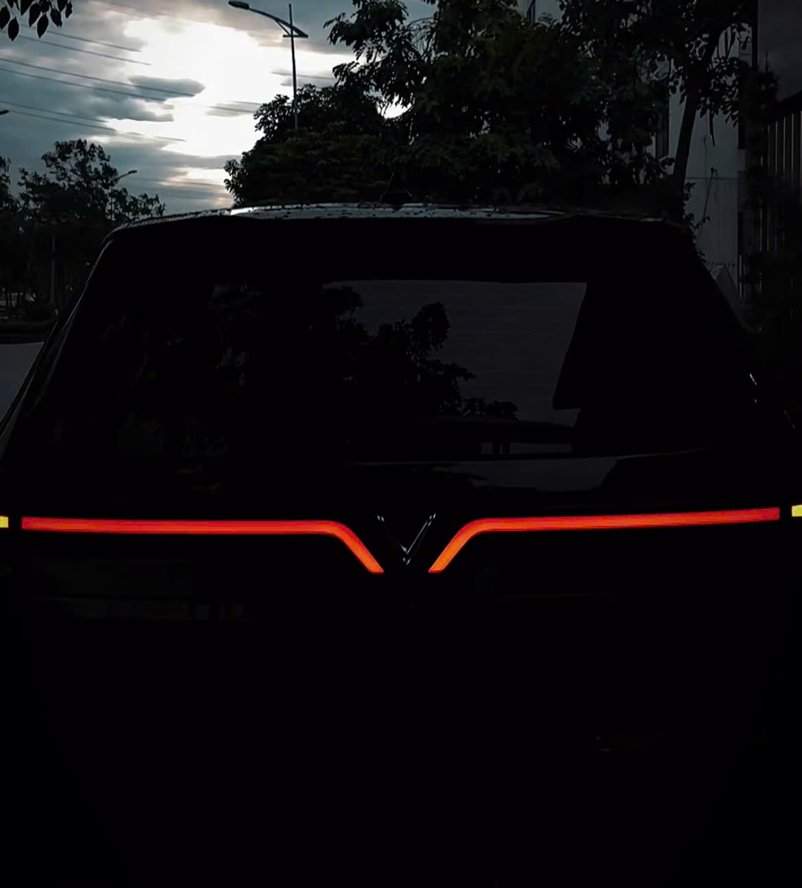 Led Cánh Chim Cho Limo Green 